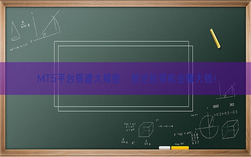 MT5平台搭建大揭密：抓住投资机会赚大钱！(图1)