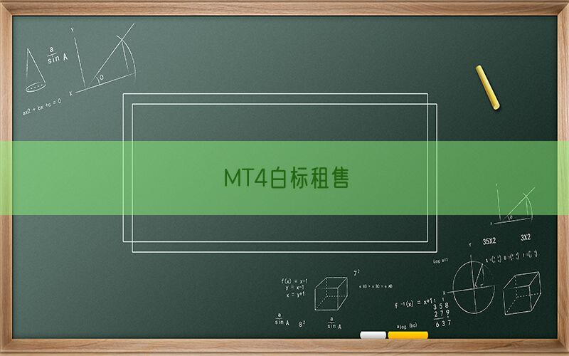 MT4白标租售(图1)