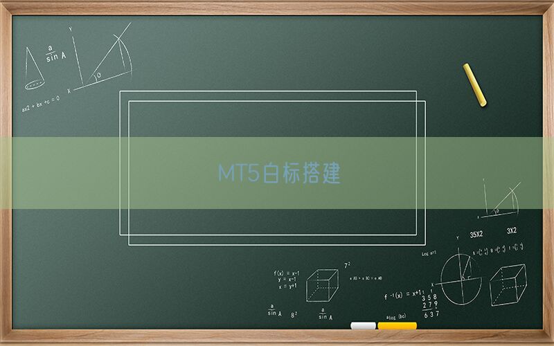 MT5白标搭建(图1)