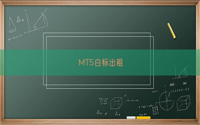 MT5白标出租(图1)