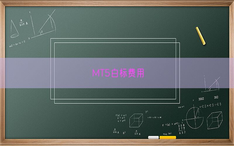 MT5白标费用(图1)