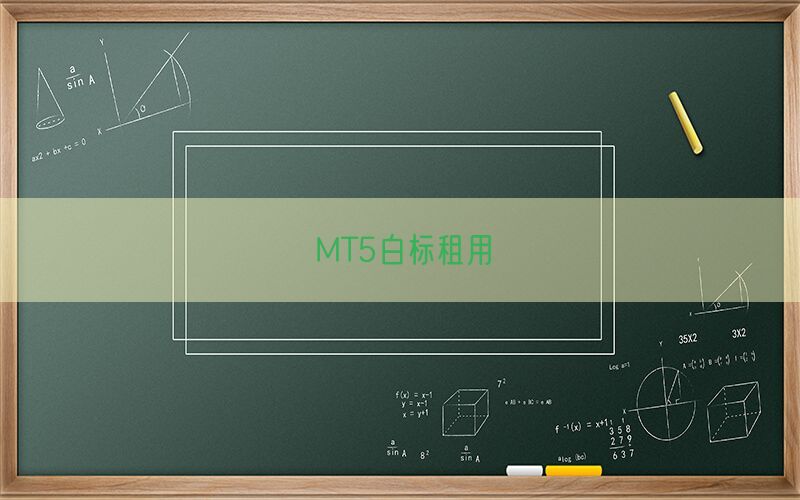 MT5白标租用(图1)