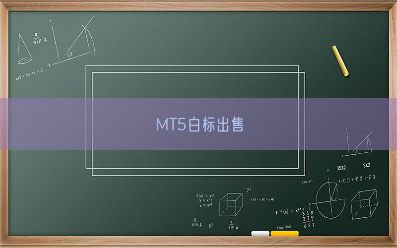 MT5白标出售(图1)