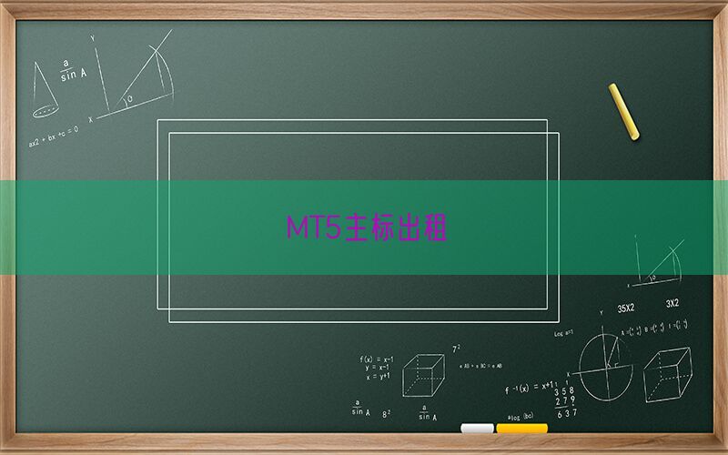 MT5主标出租(图1)