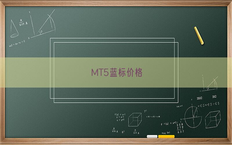 MT5蓝标价格(图1)