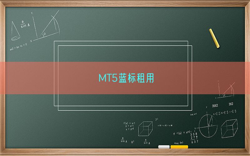 MT5蓝标租用(图1)