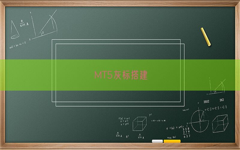 MT5灰标搭建(图1)