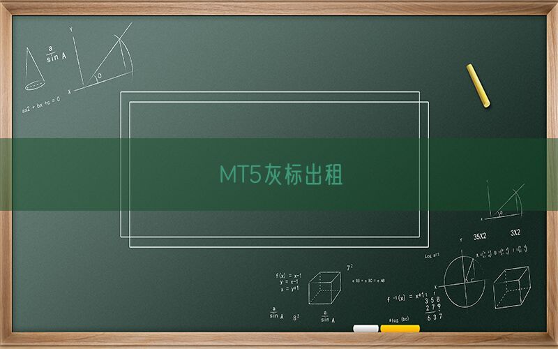 MT5灰标出租(图1)