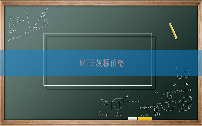 MT5灰标价格(图1)
