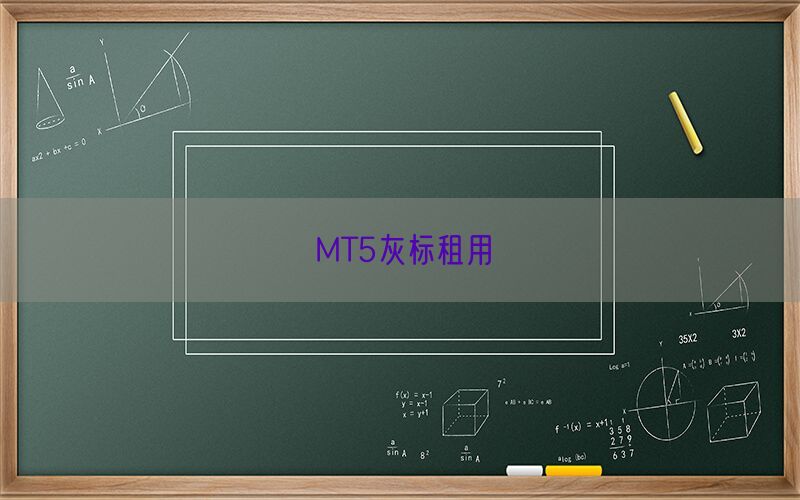 MT5灰标租用(图1)