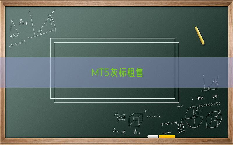 MT5灰标租售(图1)
