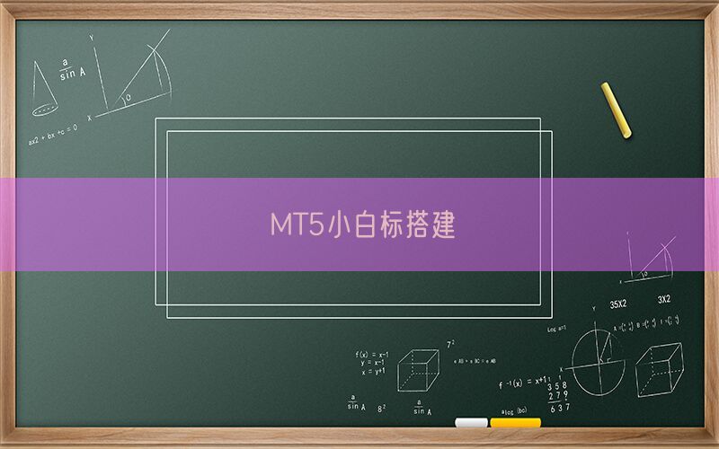 MT5小白标搭建(图1)