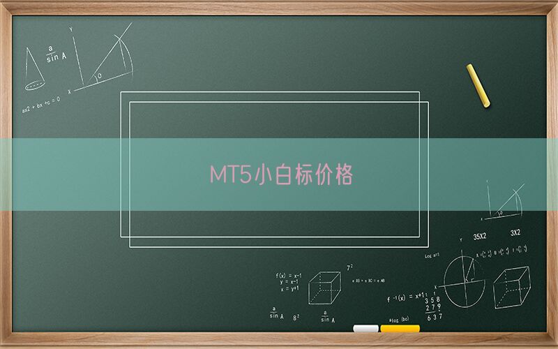 MT5小白标价格(图1)