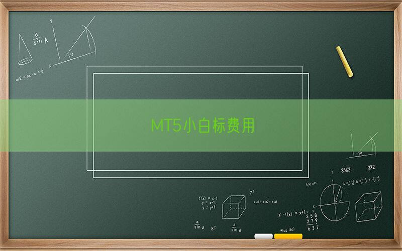 MT5小白标费用(图1)
