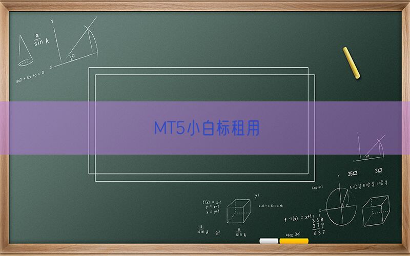 MT5小白标租用(图1)