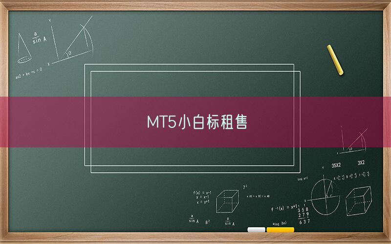 MT5小白标租售(图1)