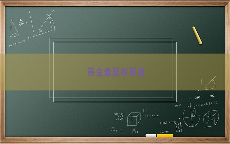 黄金盘蓝标搭建(图1)