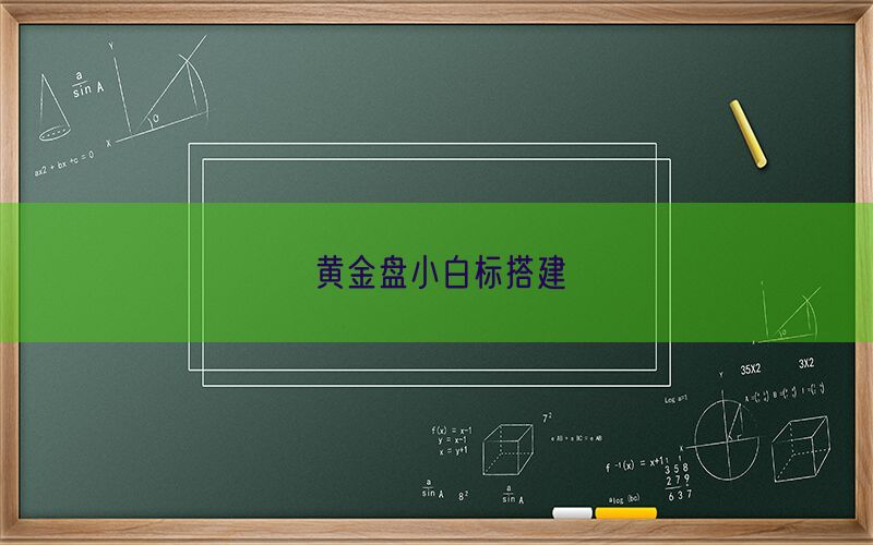 黄金盘小白标搭建(图1)