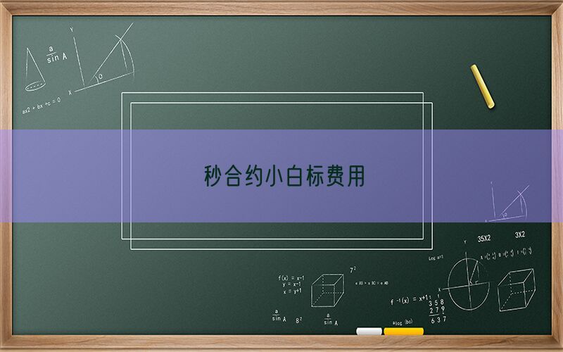 秒合约小白标费用(图1)