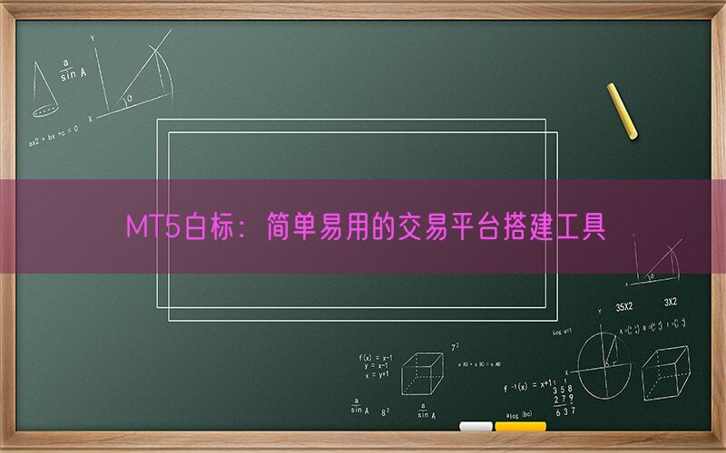 MT5白标：简单易用的交易平台搭建工具(图1)