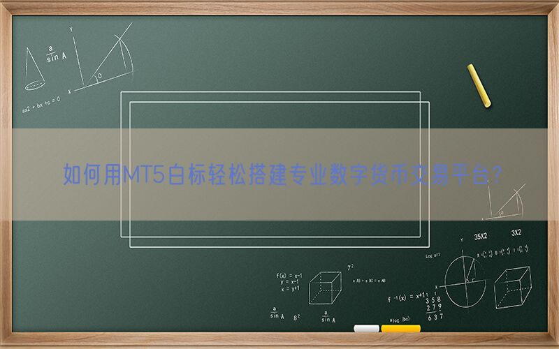 如何用MT5白标轻松搭建专业数字货币交易平台？(图1)