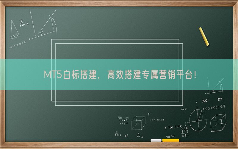 MT5白标搭建，高效搭建专属营销平台！(图1)