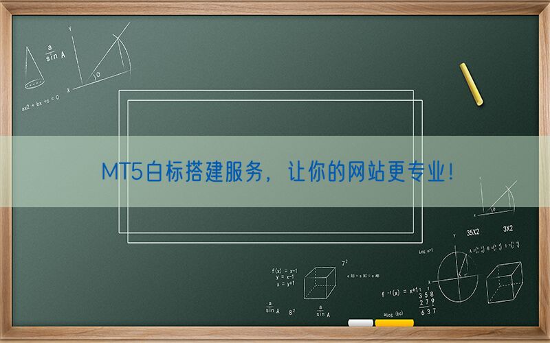 MT5白标搭建服务，让你的网站更专业！(图1)