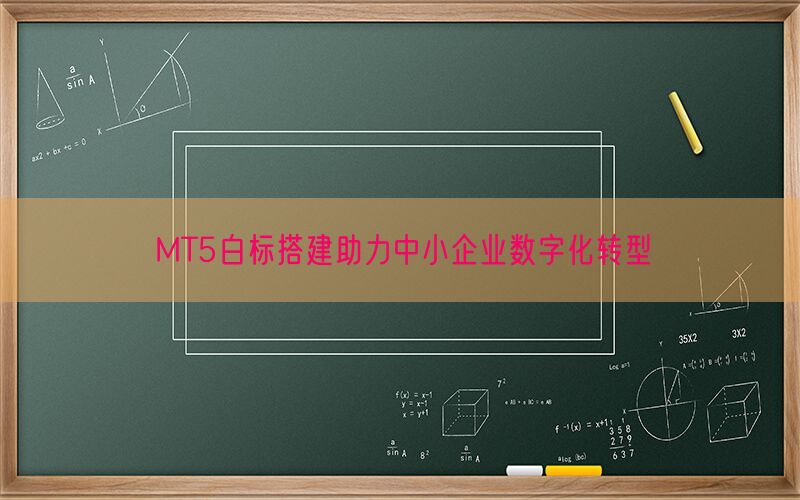 MT5白标搭建助力中小企业数字化转型(图1)