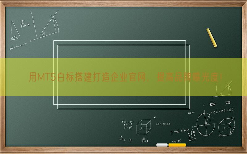 用MT5白标搭建打造企业官网，提高品牌曝光度！(图1)