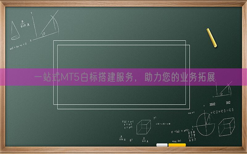 一站式MT5白标搭建服务，助力您的业务拓展(图1)