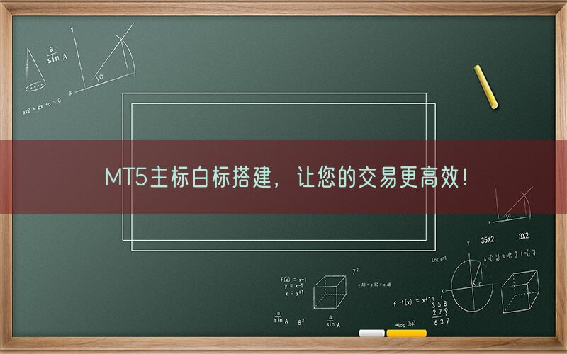 MT5主标白标搭建，让您的交易更高效！(图1)