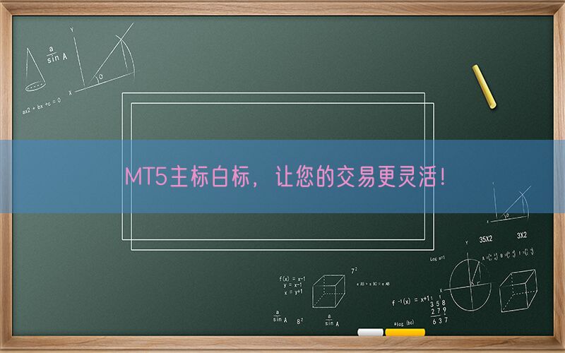 MT5主标白标，让您的交易更灵活！(图1)