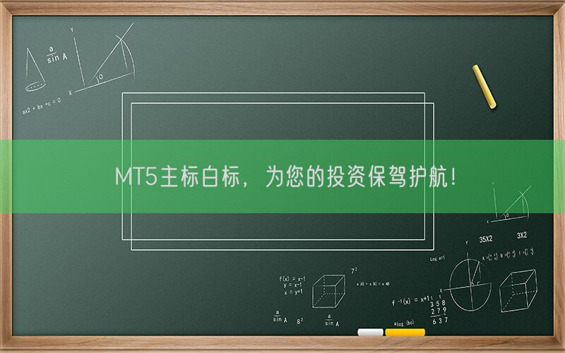 MT5主标白标，为您的投资保驾护航！(图1)