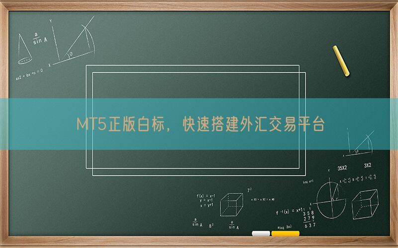 MT5正版白标，快速搭建外汇交易平台(图1)