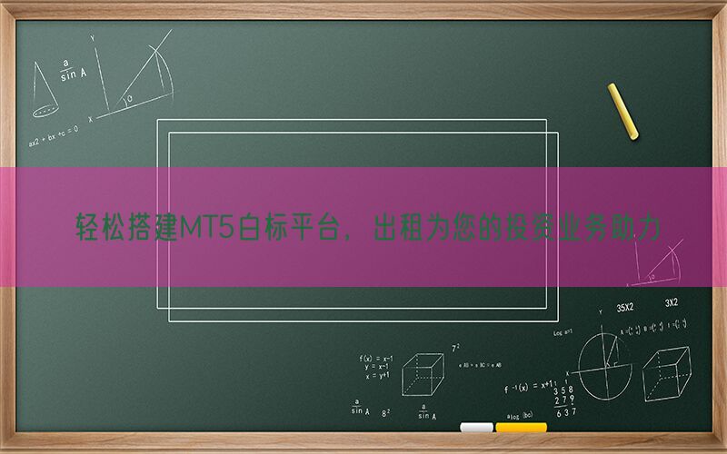 轻松搭建MT5白标平台，出租为您的投资业务助力(图1)