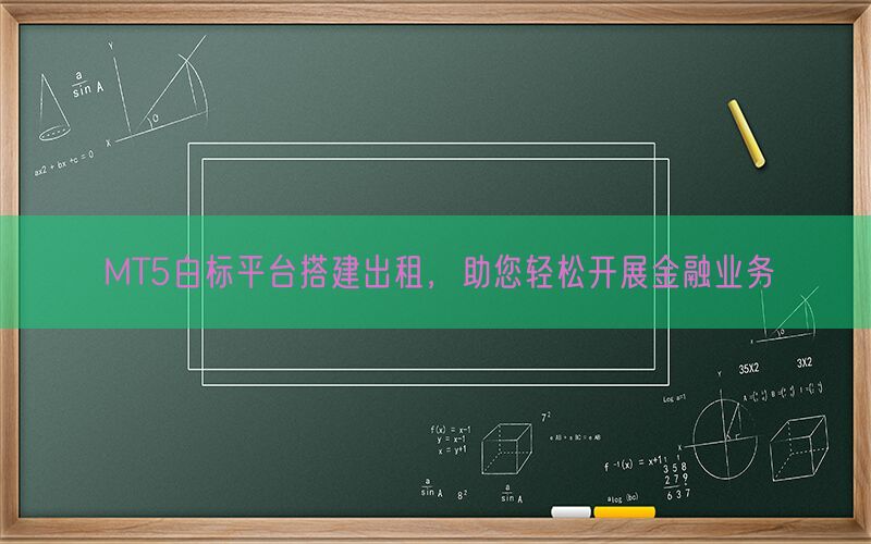 MT5白标平台搭建出租，助您轻松开展金融业务(图1)