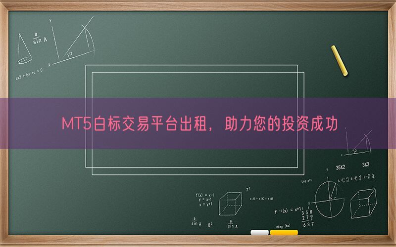 MT5白标交易平台出租，助力您的投资成功(图1)