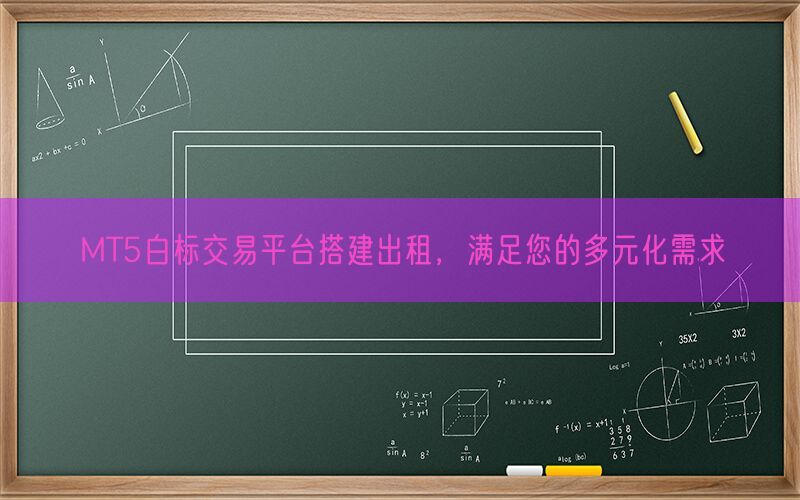 MT5白标交易平台搭建出租，满足您的多元化需求(图1)