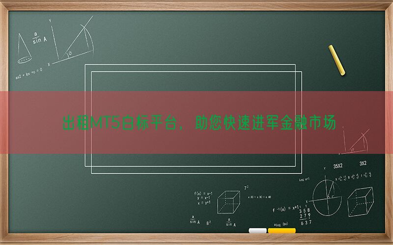 出租MT5白标平台，助您快速进军金融市场(图1)