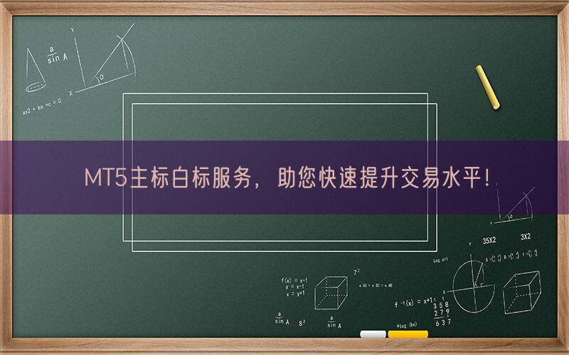 MT5主标白标服务，助您快速提升交易水平！(图1)