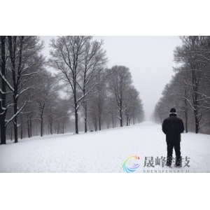 FOMC会议纪要前瞻：经济下行风险或被察觉！但降息仍难说出口-市场参考-晟峰科技
