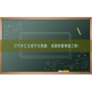 ST5外汇交易平台搭建：成就财富增值之路！