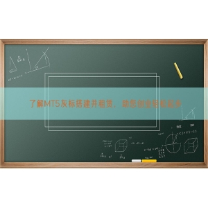 了解MT5灰标搭建并租赁，助您创业轻松起步