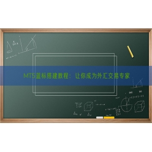 MT5蓝标搭建教程：让你成为外汇交易专家