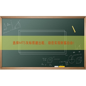 选择MT5灰标搭建出租，助您实现财富自由！