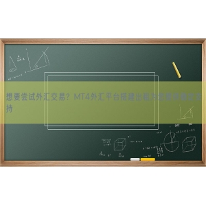 想要尝试外汇交易？MT4外汇平台搭建出租为您提供稳定支持