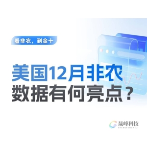 非农再爆表！2025年仅有一次降息了？-市场参考-晟峰科技数据
