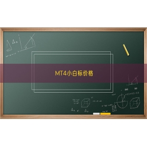 MT4小白标价格