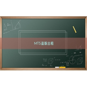 MT5盗版出租