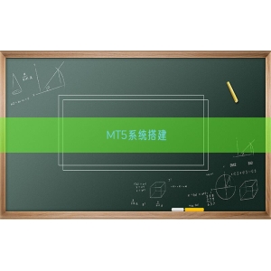 MT5系统搭建